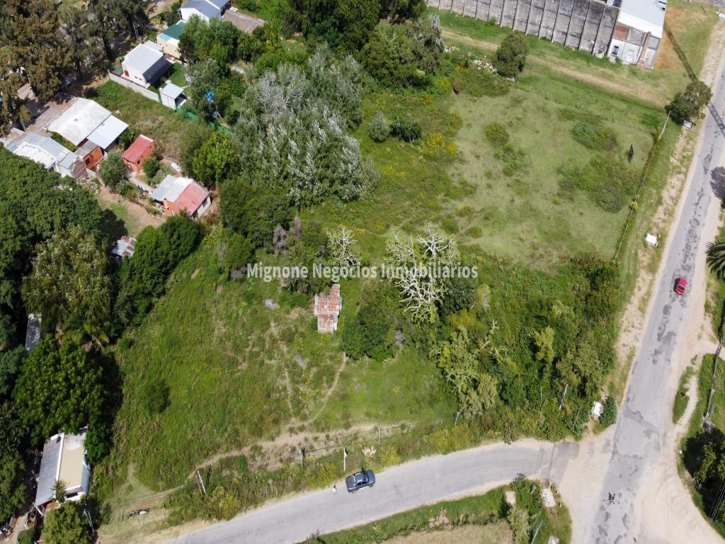 Amplio terreno de 8300m2 con frente a dos calles y a metros de Plaza de Toros
Ideal para proyecto de inversión 